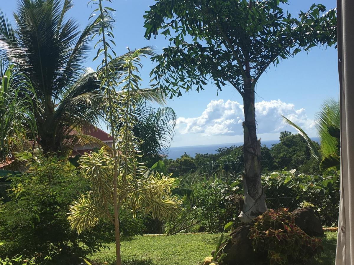 Villa A Rabica - Extrait De Cafe Pointe-Noire Exteriör bild
