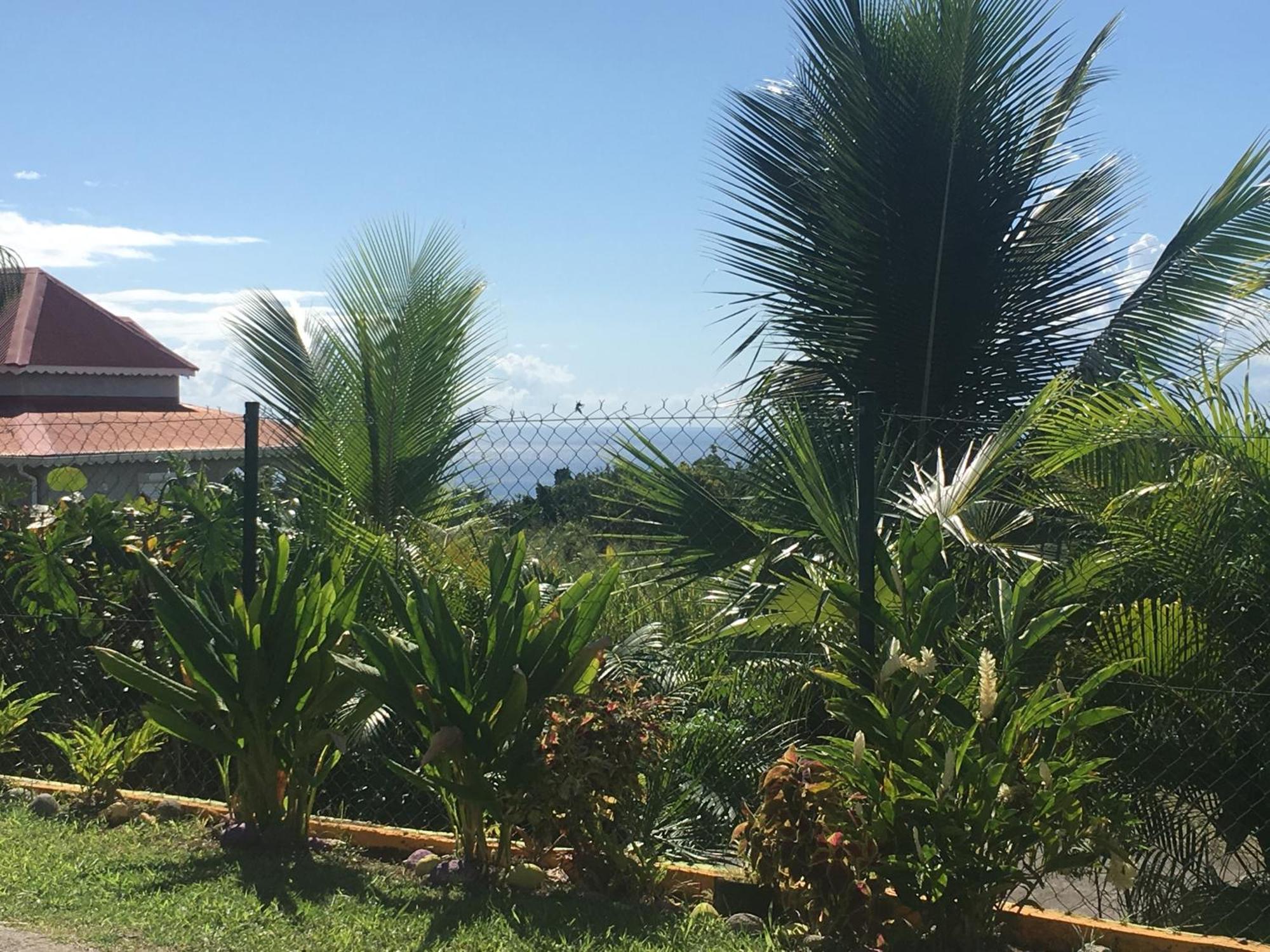 Villa A Rabica - Extrait De Cafe Pointe-Noire Exteriör bild
