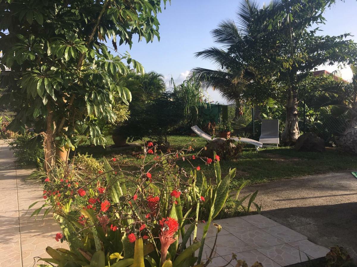 Villa A Rabica - Extrait De Cafe Pointe-Noire Exteriör bild